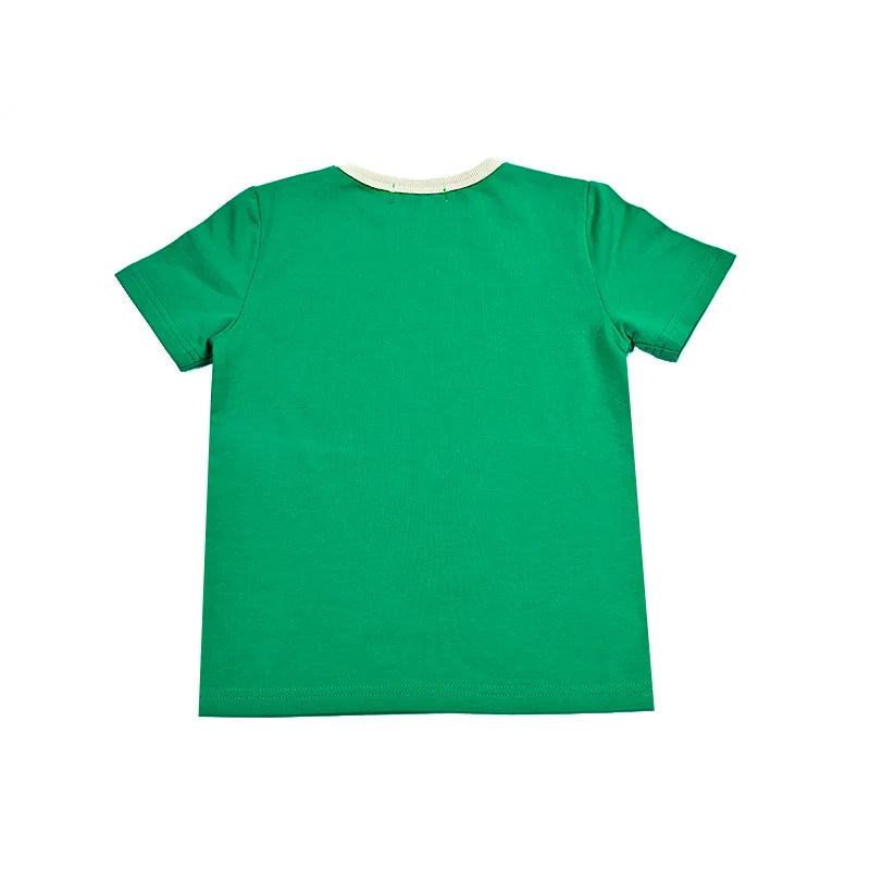 Family matching clothes summer collection girl dress boy top tee shirt baby set girl skirt green children cotton clothing outfit