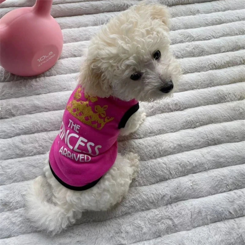 Cotton Vest for Dogs and Cats, Costume Pet Clothes, Fashion Clothing for Puppies, Pugs, Shih Tzu, 5 Sizes, Summer
